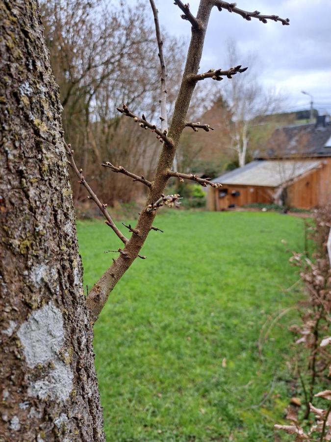 La Ptit Marie Villa Houffalize Luaran gambar